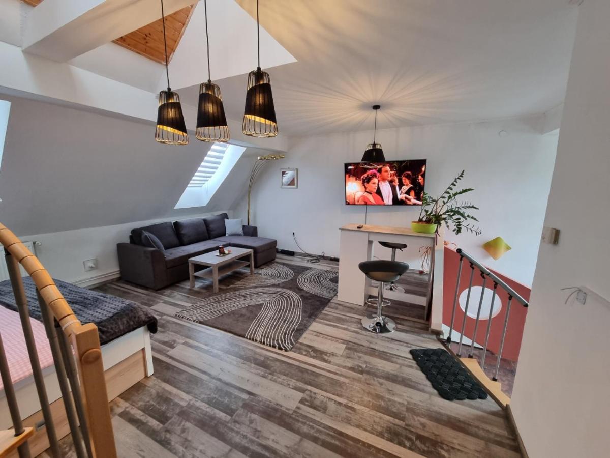 Pension Donaublick Grein 2 In Stifterstrasse 19A 외부 사진